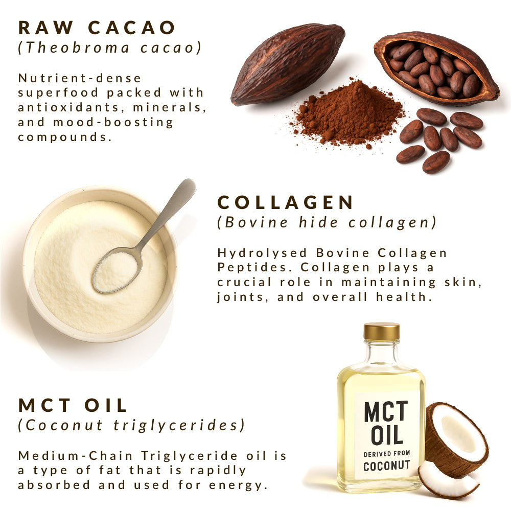 Mindful Mushroom Coffee - Origin - Dark Roast
