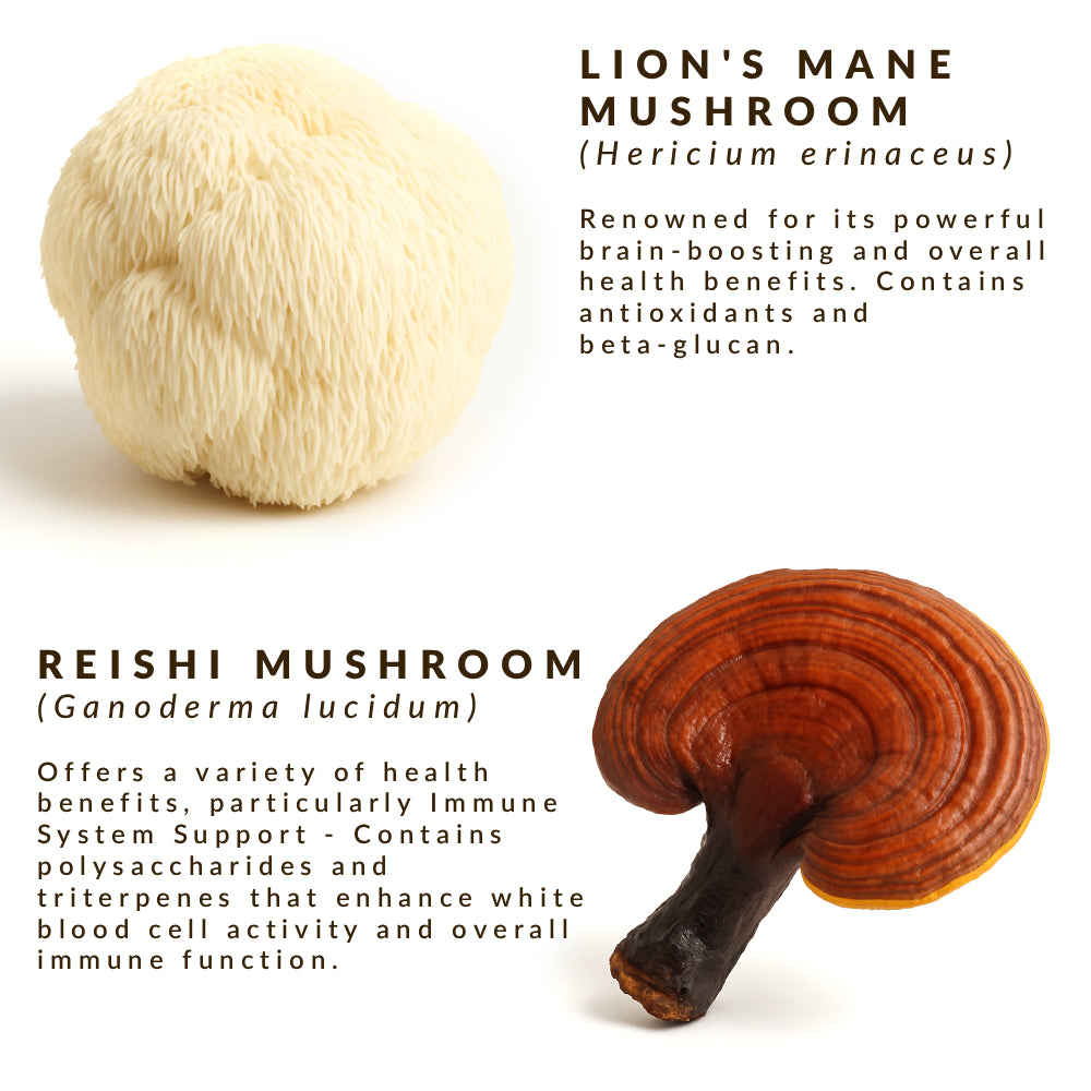 Mindful Mushroom Coffee - Origin - Dark Roast