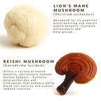Mindful Mushroom Coffee - Origin - Dark Roast
